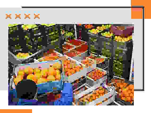 Перевозка скоропортящихся продуктов в Лобне